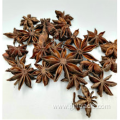 professional made Dried Star Aniseed